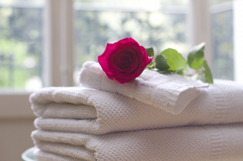 chambre-hote-LA MARTRE-min_towel_rose_clean_care_salon_spa_white_bath-731641